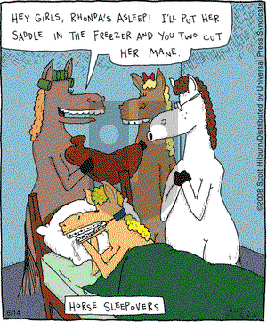 The Argyle Sweater on Saturday June 14, 2008 Comic Strip
