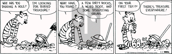 Calvin and Hobbes on Saturday June 6, 2015 Comic Strip