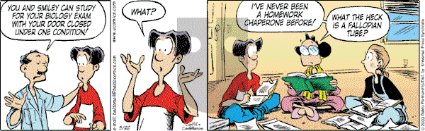 Baldo - Thursday May 22, 2003 Comic Strip