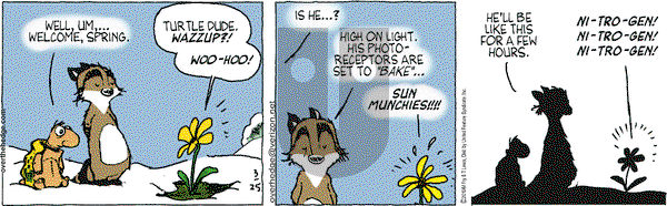 Over the Hedge on Thursday March 25, 2010 Comic Strip
