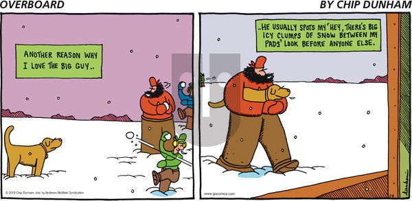 Overboard on Sunday January 6, 2019 Comic Strip