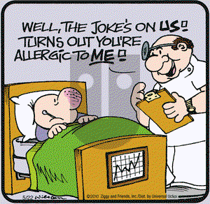 Ziggy on Saturday May 22, 2010 Comic Strip