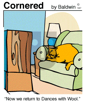 Cornered on Monday October 27, 1997 Comic Strip
