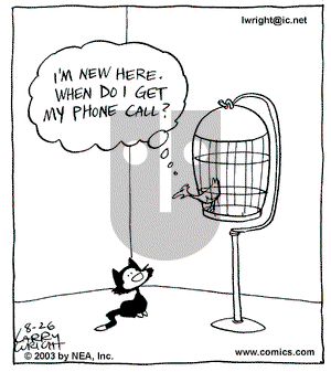 Kit 'N' Carlyle on Tuesday August 26, 2003 Comic Strip