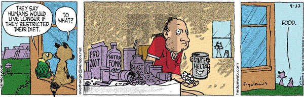 Over the Hedge on Saturday April 22, 2006 Comic Strip