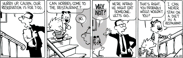 Calvin and Hobbes on Friday June 20, 1986 Comic Strip