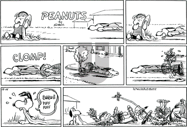 Peanuts - Sunday December 14, 1958 Comic Strip
