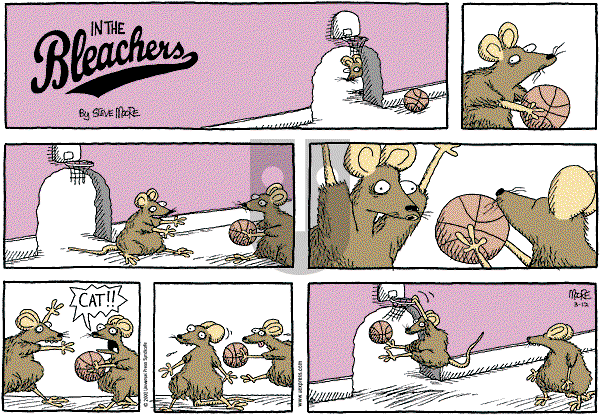 In the Bleachers - Sunday March 12, 2000 Comic Strip