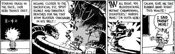 Calvin and Hobbes - Wednesday May 23, 1990 Comic Strip