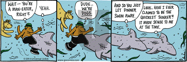 Overboard on Saturday June 7, 2014 Comic Strip