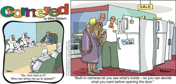 Cornered on Sunday August 21, 2016 Comic Strip