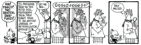 Monty on Wednesday January 4, 2006 Comic Strip