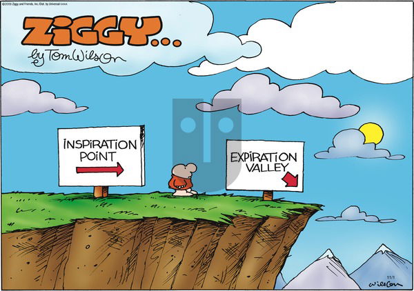Ziggy on Sunday November 1, 2009 Comic Strip