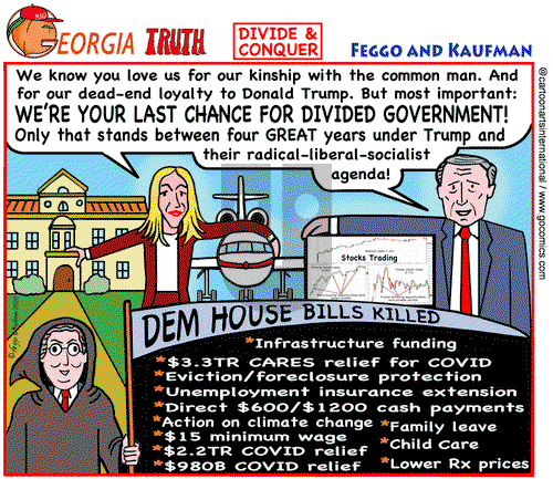 ViewsBusiness on Tuesday December 15, 2020 Comic Strip