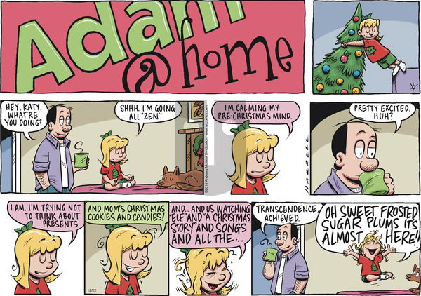 Adam@Home on Sunday December 22, 2019 Comic Strip