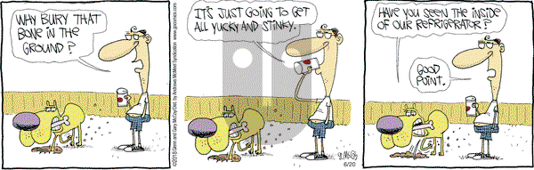 The Duplex on Wednesday June 20, 2018 Comic Strip