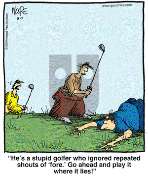 In the Bleachers on Friday August 7, 2009 Comic Strip