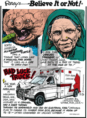 Ripley's Believe It or Not on Tuesday September 23, 2008 Comic Strip