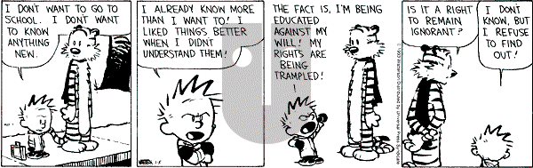 Calvin and Hobbes - Tuesday January 5, 1993 Comic Strip