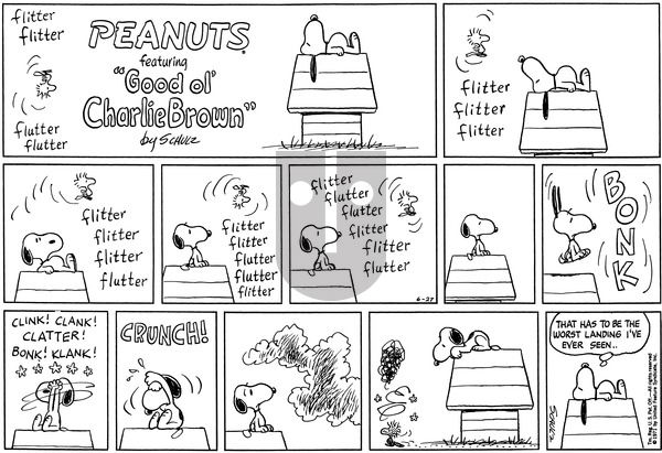 Peanuts on Sunday June 27, 1971 Comic Strip