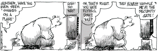 The Grizzwells on Wednesday April 4, 2007 Comic Strip