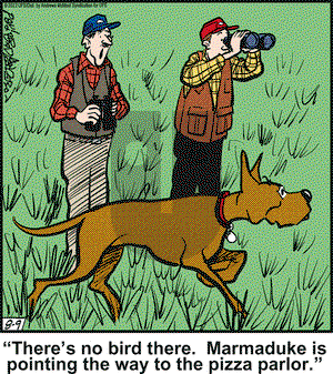 Marmaduke on Tuesday August 9, 2022 Comic Strip