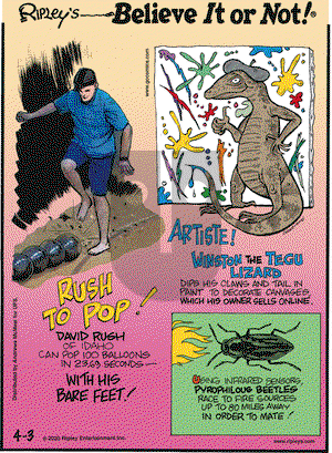 Ripley's Believe It or Not on Friday April 3, 2020 Comic Strip