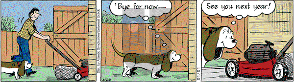 Fred Basset on Friday January 1, 2010 Comic Strip
