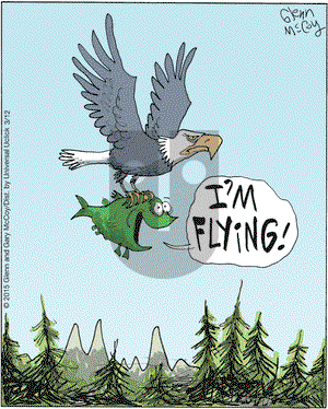 The Flying McCoys on Thursday March 12, 2015 Comic Strip