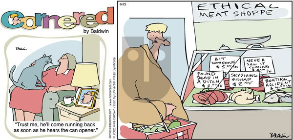 Cornered on Monday July 8, 2002 Comic Strip