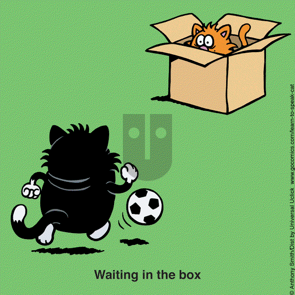 Learn to Speak Cat on Tuesday January 28, 2025 Comic Strip