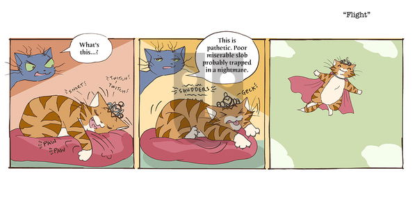 @Tavicat - Monday November 13, 2023 Comic Strip