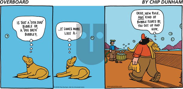 Overboard on Sunday July 3, 2016 Comic Strip