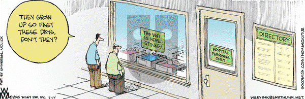 Non Sequitur on Tuesday July 14, 2015 Comic Strip