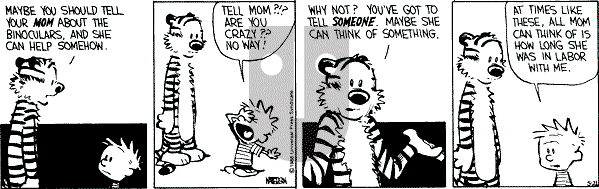 Calvin and Hobbes - Saturday May 21, 1988 Comic Strip