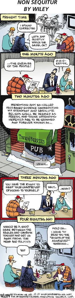 Non Sequitur - Sunday December 10, 2023 Comic Strip