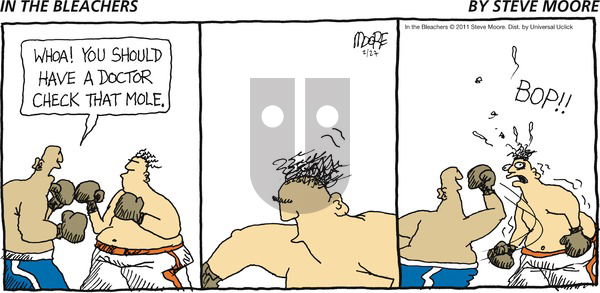 In the Bleachers on Sunday February 27, 2011 Comic Strip