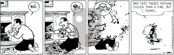 Calvin and Hobbes - Saturday February 4, 1995 Comic Strip