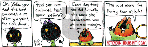 Breaking Cat News on Wednesday May 14, 2025 Comic Strip