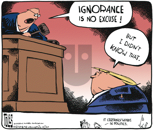 Tom Toles on Thursday December 20, 2018 Comic Strip