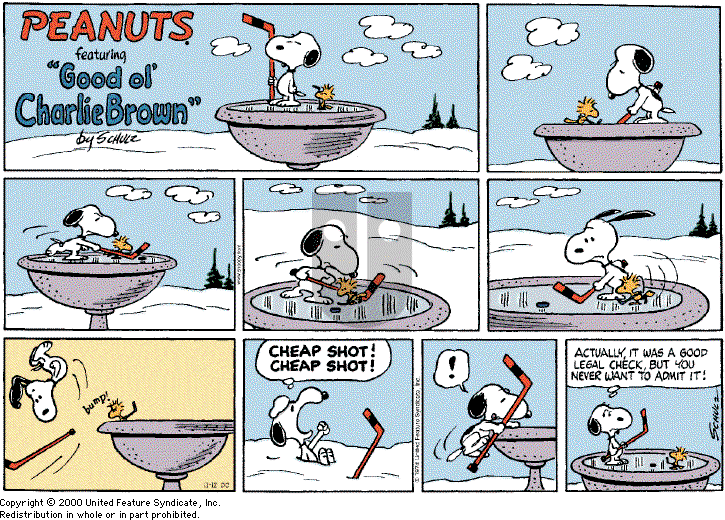 Peanuts - Sunday November 12, 2000 Comic Strip
