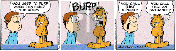 Garfield on Monday October 20, 2008 Comic Strip