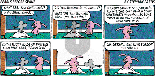 Pearls Before Swine on Sunday August 11, 2002 Comic Strip