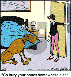 Marmaduke on Saturday November 23, 2019 Comic Strip