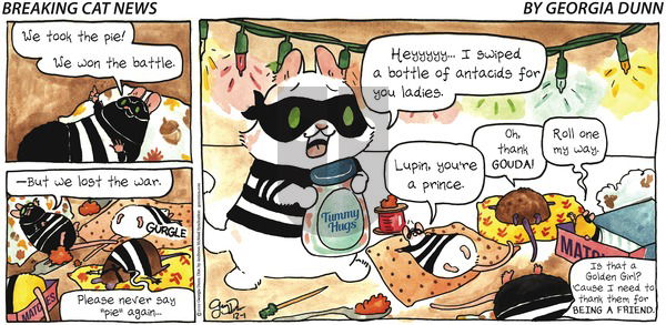 Breaking Cat News on Sunday December 1, 2019 Comic Strip