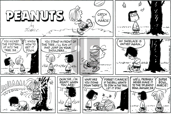 Peanuts - Sunday November 27, 1988 Comic Strip