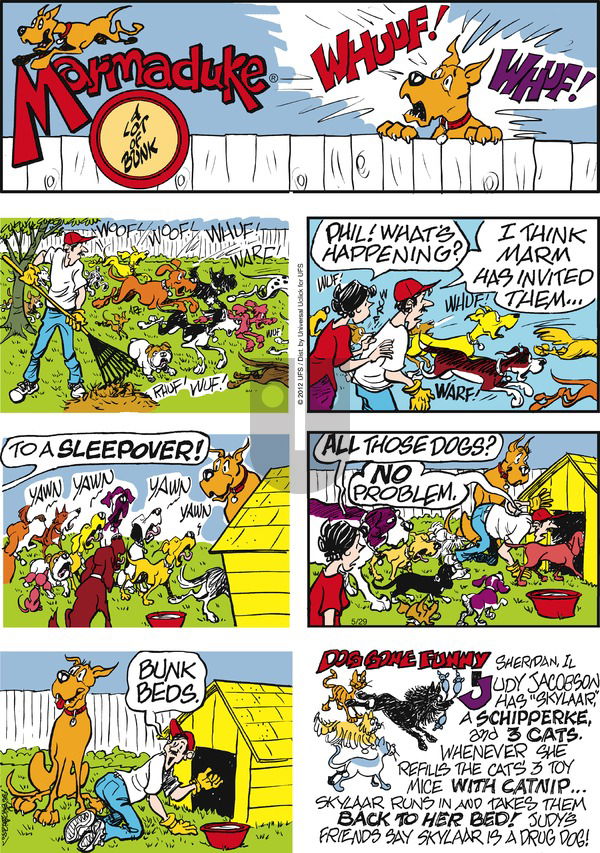 Marmaduke on Sunday May 29, 2016 Comic Strip