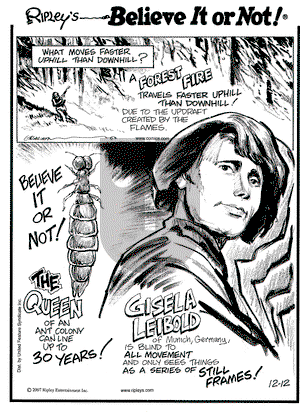 Ripley's Believe It or Not on Wednesday December 12, 2007 Comic Strip