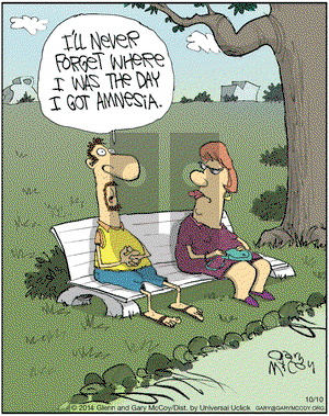 The Flying McCoys on Friday October 10, 2014 Comic Strip