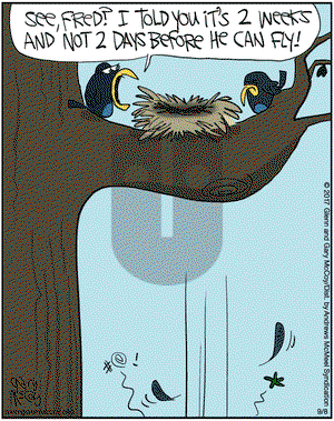 The Flying McCoys on Friday September 8, 2017 Comic Strip